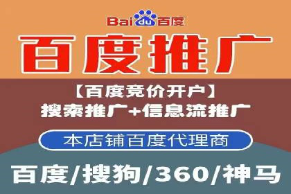 搜索引擎营销（SEM）在电商行业的投放策略案例
